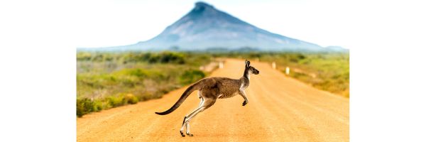 Désert Australie