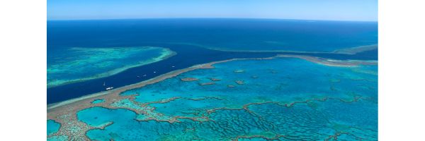 Assurance voyage Australie - La grande barrière de corail