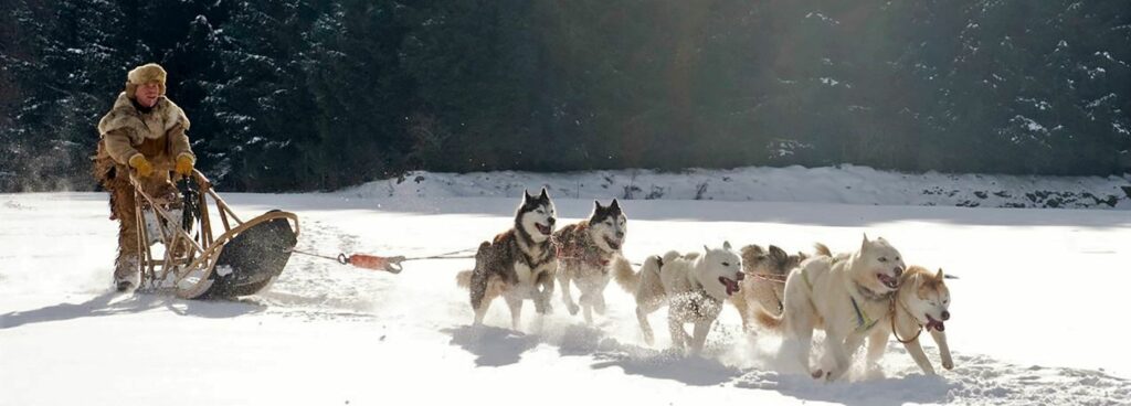 L'assurance voyage pour les vacances d'hiver - Pratique sportive