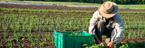 Assurance voyage WWOOF