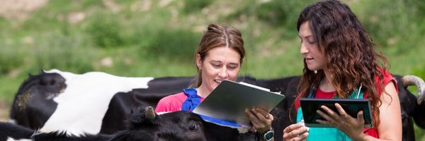 Comment partir en wwoof ? - Technologies à la ferme